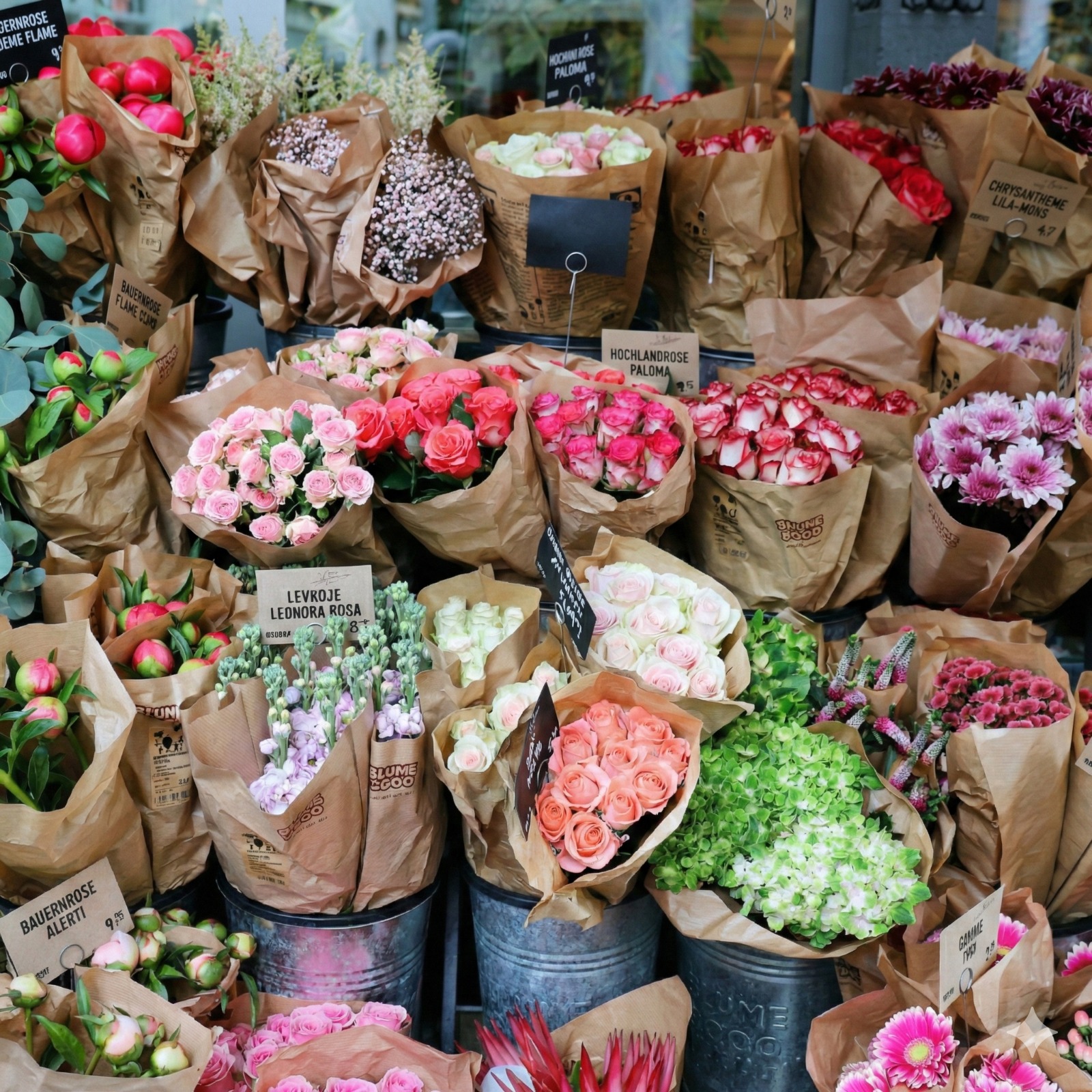 WhatsApp Image 2026 02 24 at 2 06 59 PM